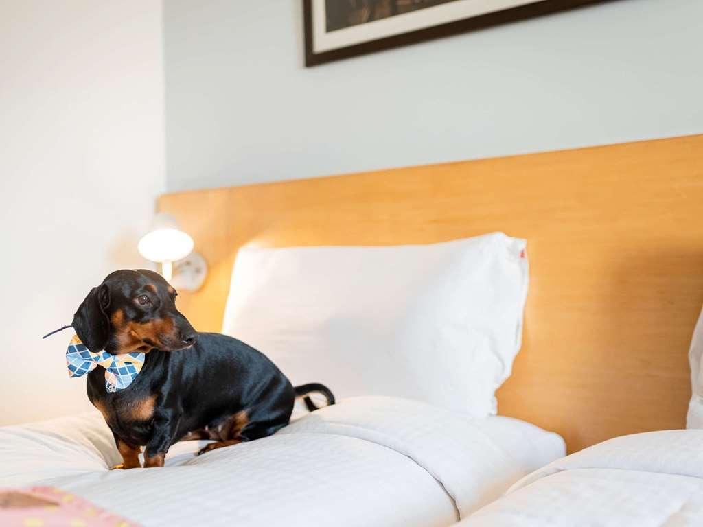 Ibis Jaipur City Centre - An Accor Brand Værelse billede